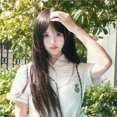 蝴蝶不说话